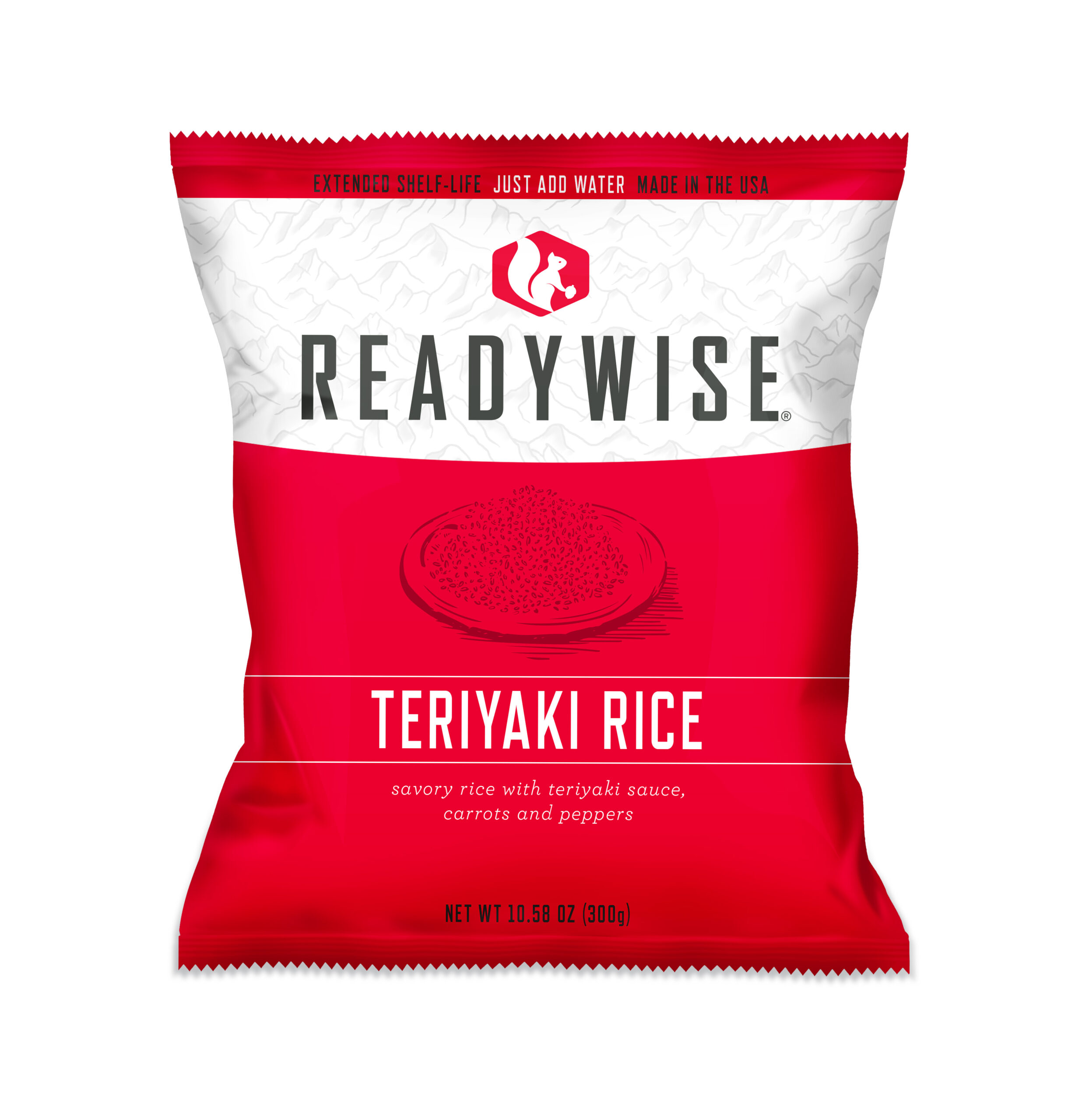 Teriyaki-Rice copy